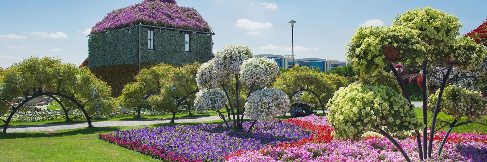 Dubai Miracle Garden